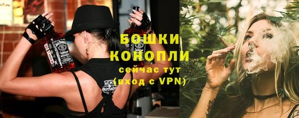 ПСИЛОЦИБИНОВЫЕ ГРИБЫ Арсеньев