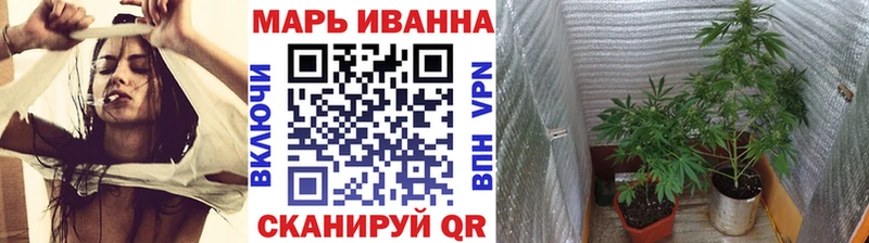 МАРИХУАНА SATIVA & INDICA  Камышин 